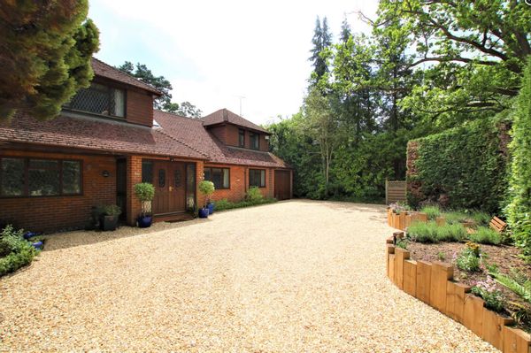 Matt's house