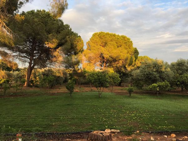 Large and relaxing villa in Sassari countryside, Sardinia, Italia