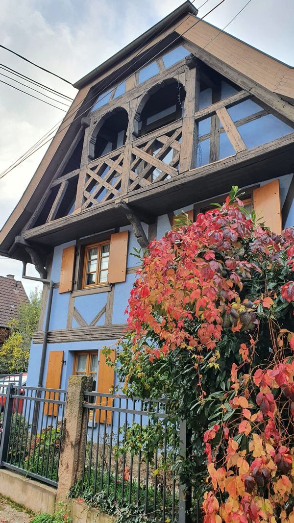 Appartement indépendant dans une maison alsacienne du 17ème siècle (1 grande pièce + cuisine et SdB)