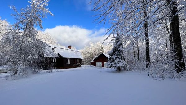 Sophia & Huguess hus