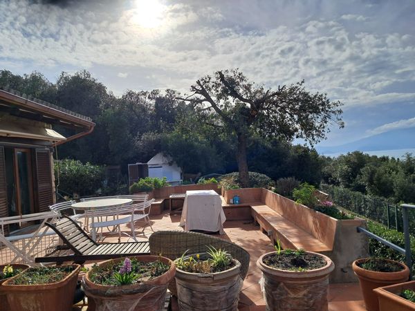 Serena's house