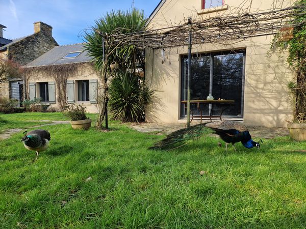 Maison dans le Morbihan, au bord de la rivière