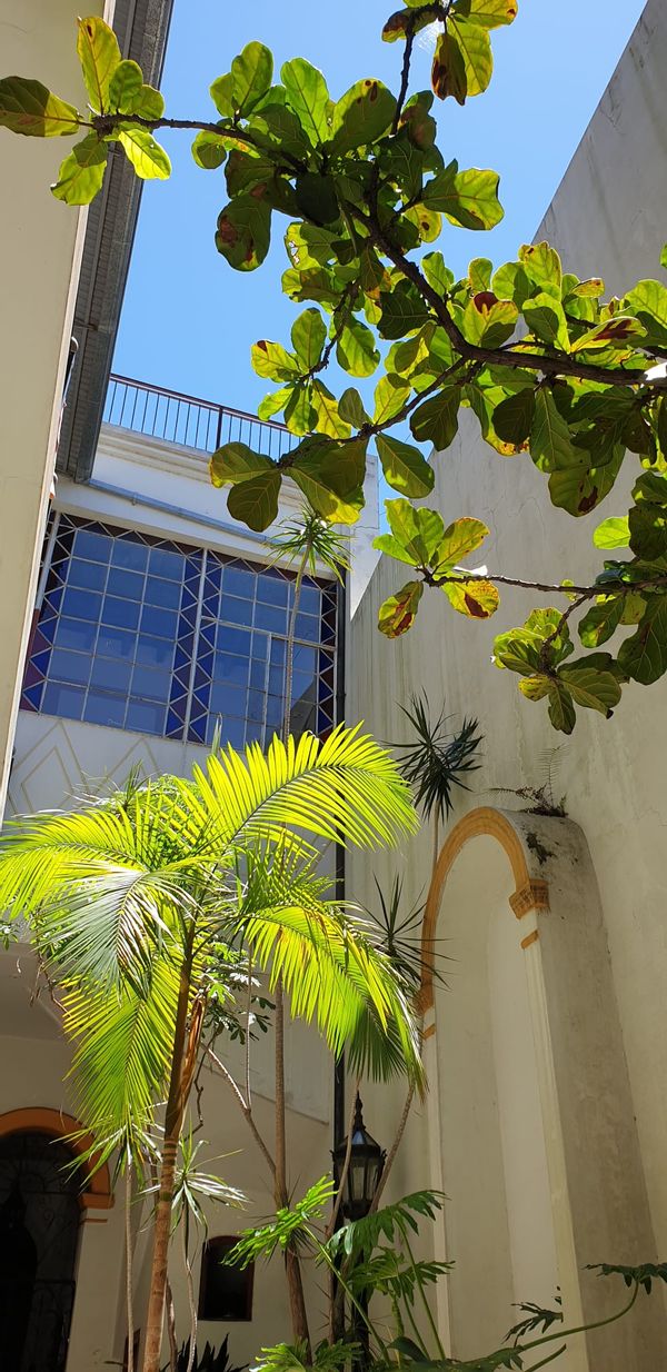 Brigitta's house