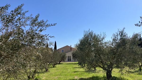 La maison de Julien et Sandy en provence à milieu des oliviers ! Venez découvrir notre belle région.