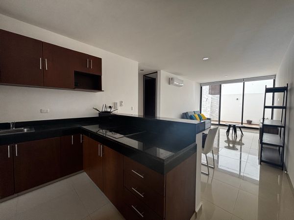 Tania Briceño Iribes hus