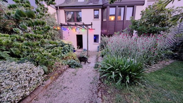 Maison des Flamants, centre Rennes