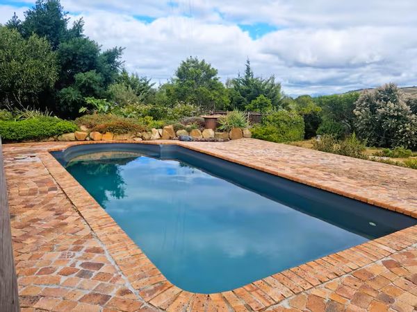 One bedroomed garden cottage with shared swimming pool next to olive grove.