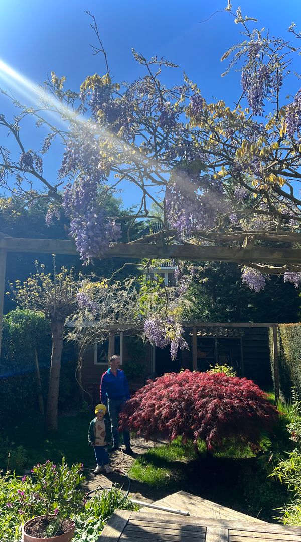 La maison de Stephanie