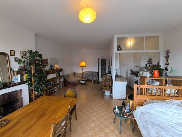 Studio spacieux, calme, avec grand balcon donnant sur un parc, au centre-ville de Genève.