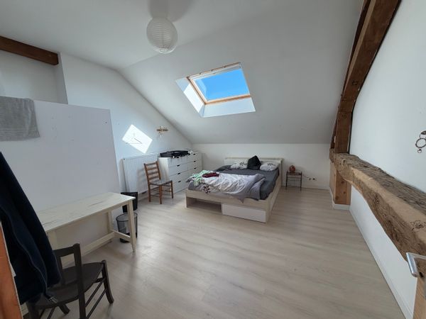 Chambre dans appartement