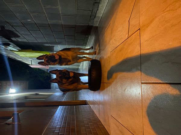 La maison de Emerson