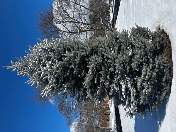 La maison de Stephanie