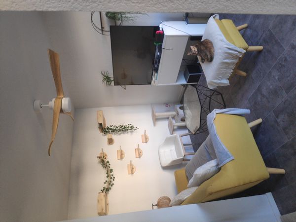 Sandra's house