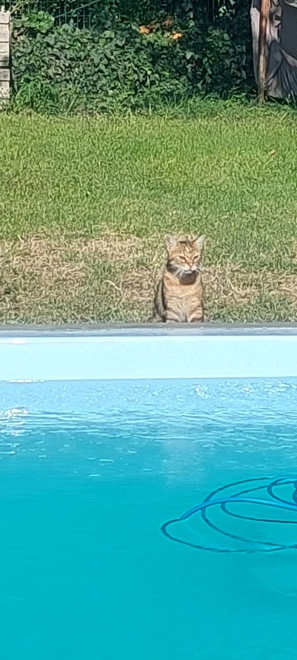 La maison de Gersende