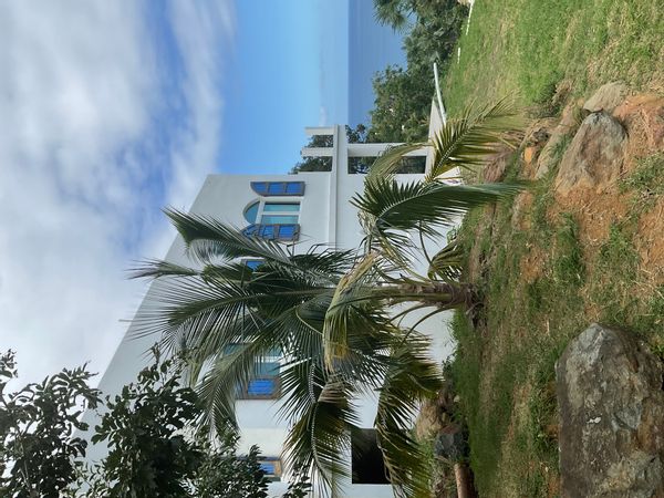 Mick and Diana's Caribbean Villa by the Sea