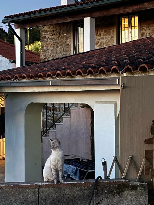 Our quiet hillside village home
