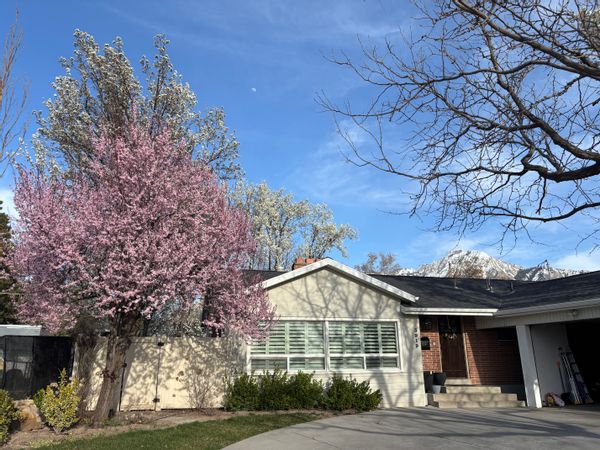 Urban Ski Retreat 30 mins from Resorts