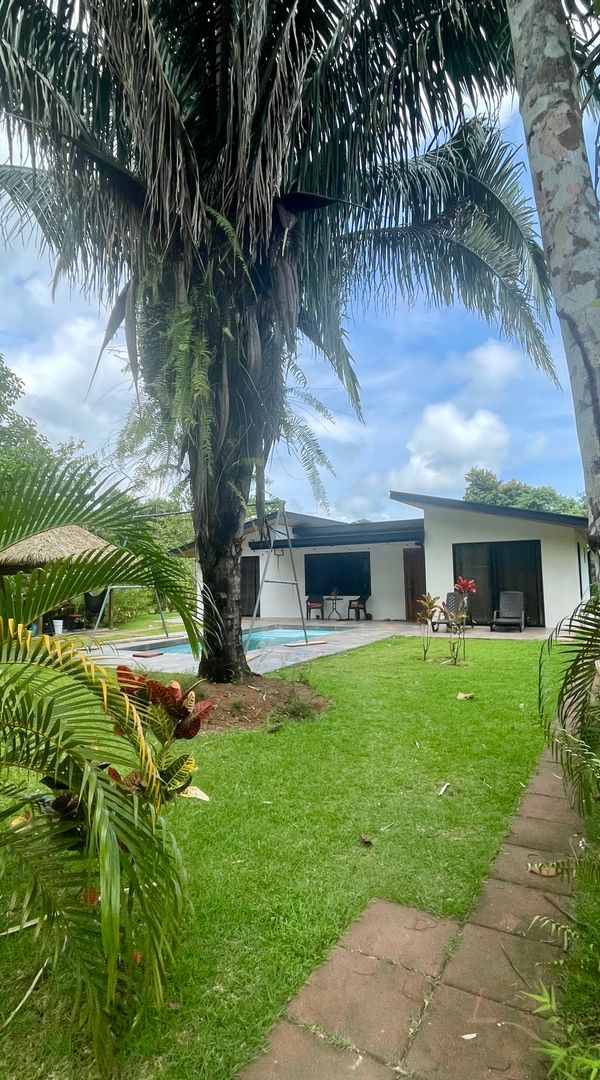 Family friendly house with toucans in the trees & penguins to greet you!