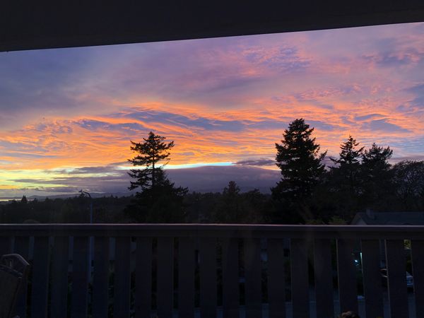 Salish Sea + Olympic Mtn Views