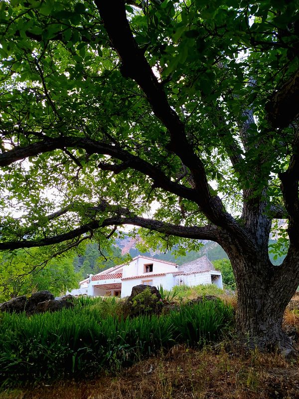 Casa di Antonio y Elena