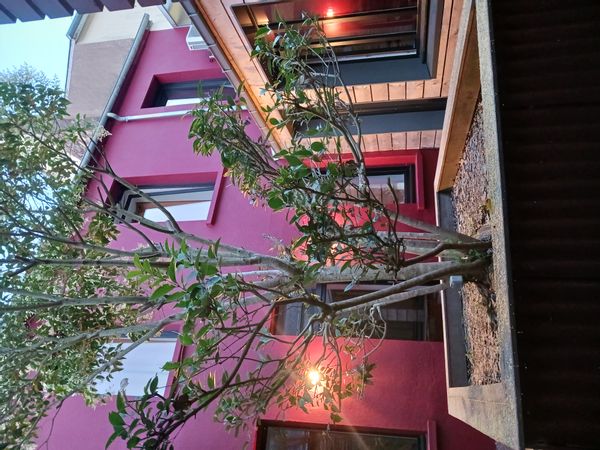 Maison de ville avec petite piscine près de la forêt de Brocéliande
