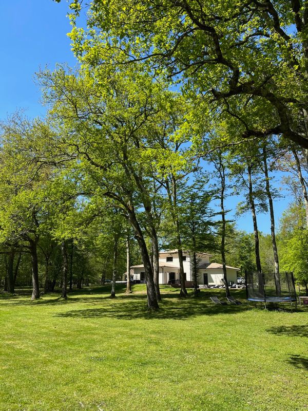 Marc's house