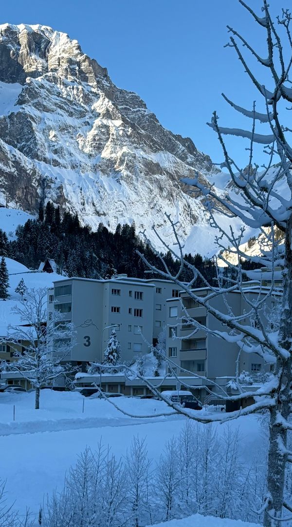 Fantastic View Face to the Mountains and the Lake !