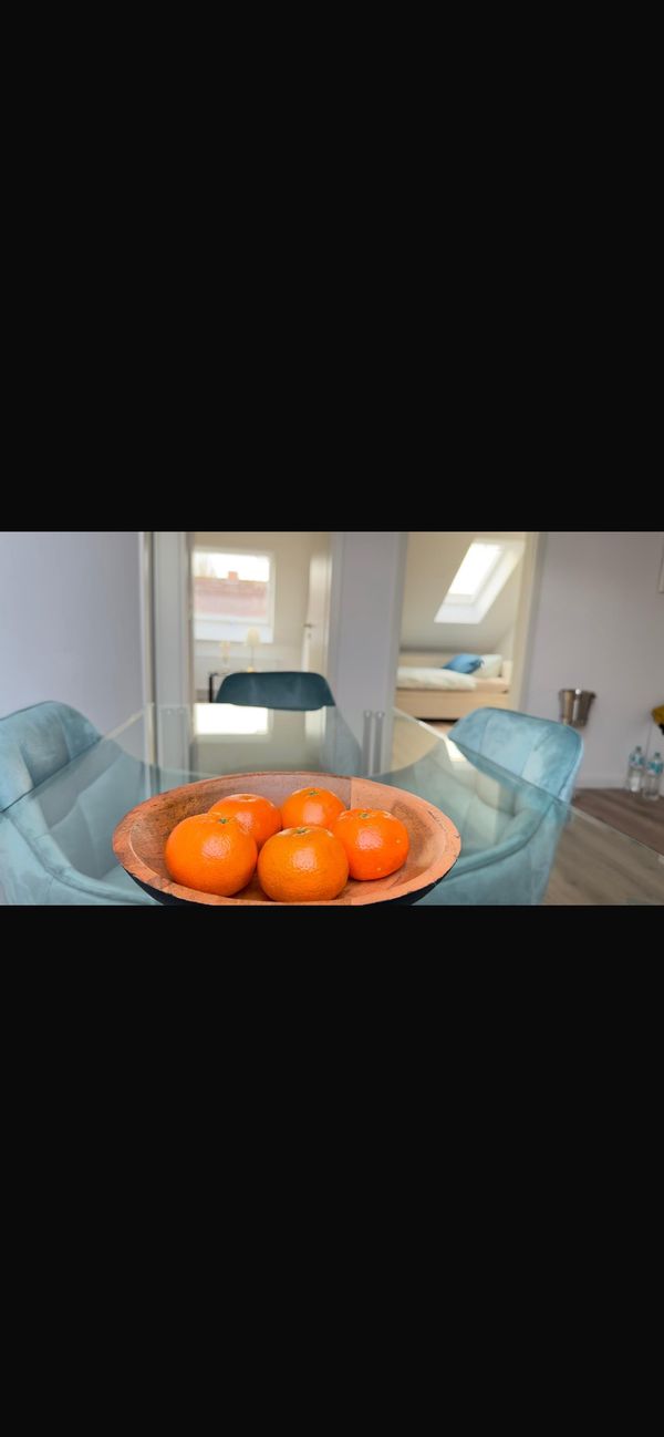 Stephan's house