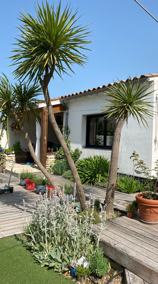 Sophie's house
