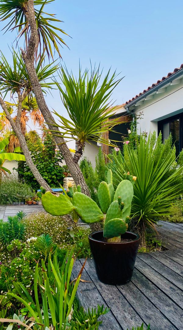 La Rose, proche de La Rochelle