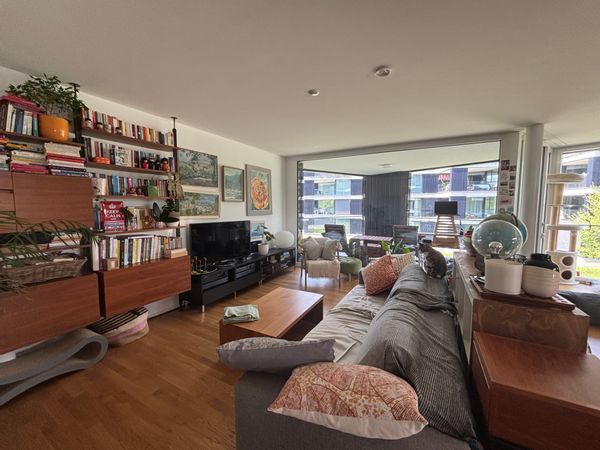 Modern and light apartmentin the hearth of Switzerland