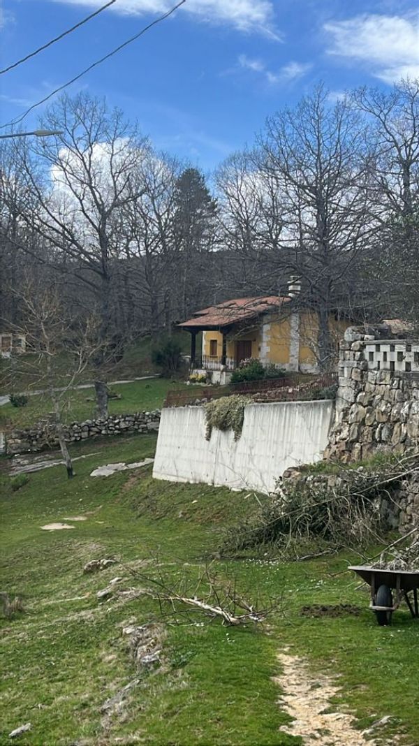 Thierry's house