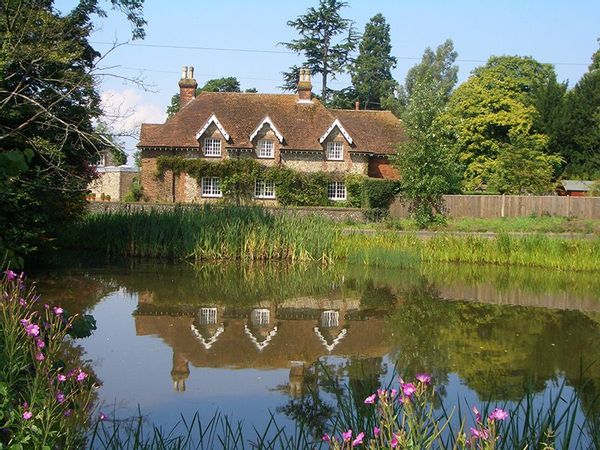 Annie's Surrey House