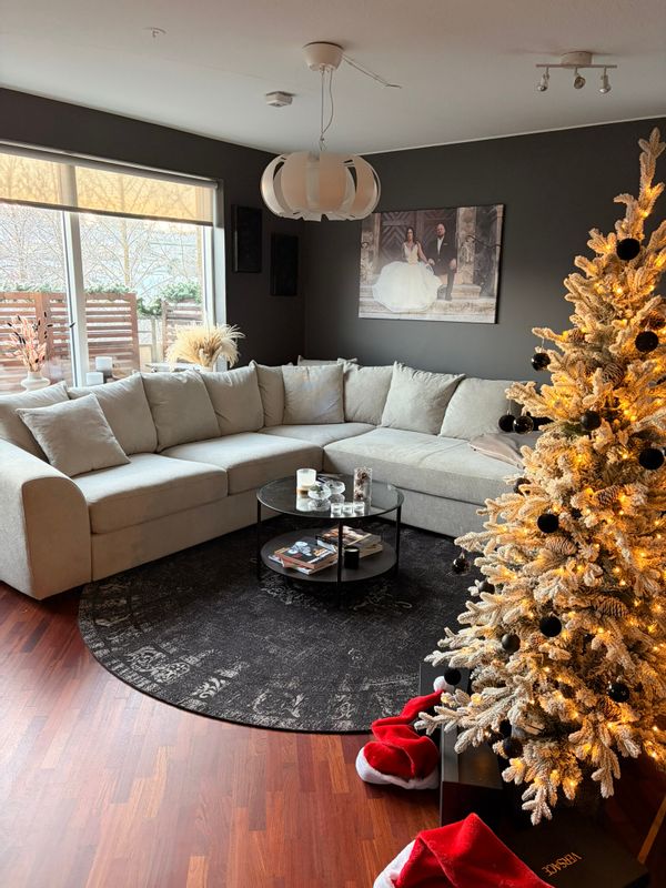 Erlendur and Jovana´s home.   Charming, stylish and cozy, centrally located in Reykjavik