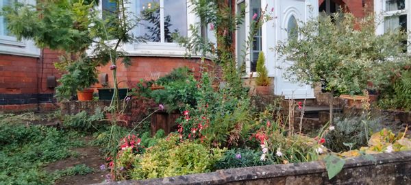 Casa di Piers Denholm-Young