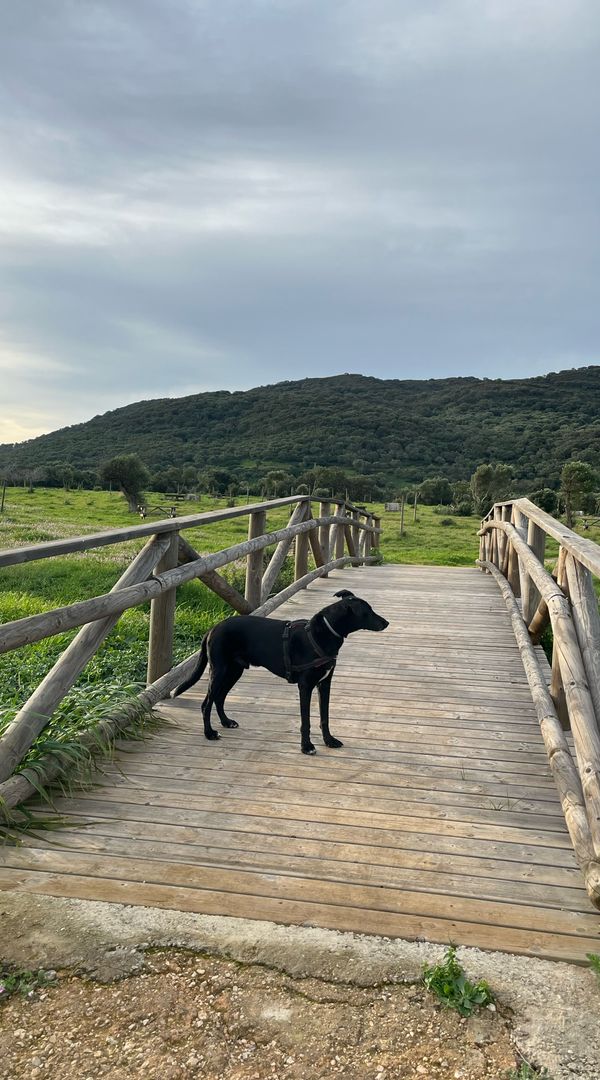 La maison de Graciela