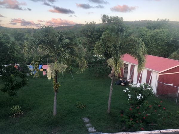 Cheerful tropical farm in the valley of St. Croix