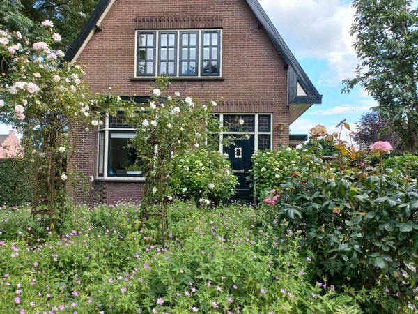 Lucy's house is characteristic, light and cozy
