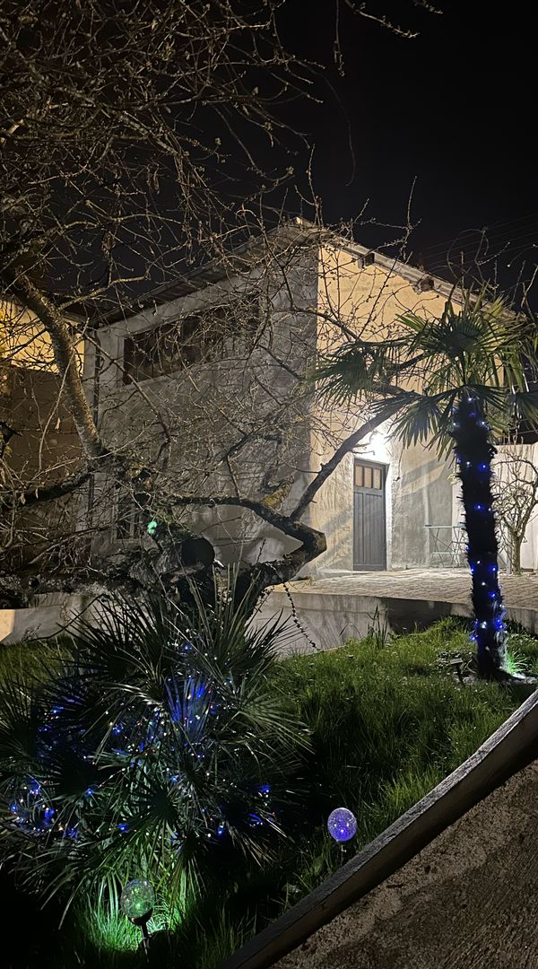 Notre Paradis au temple des oiseaux