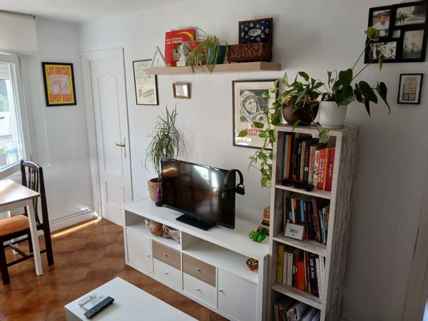 Palmis hus