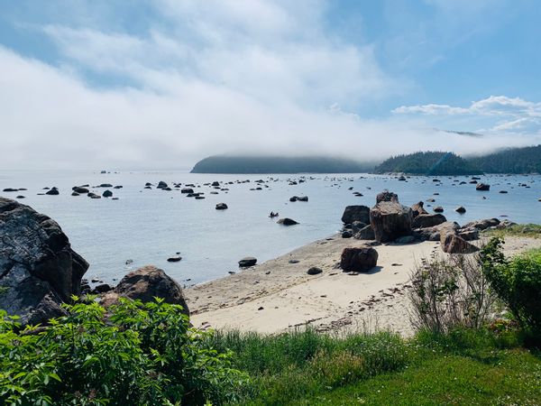 Mini-maison en plein nature avec plage privée