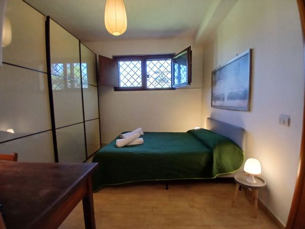 ROMA Parrot Room