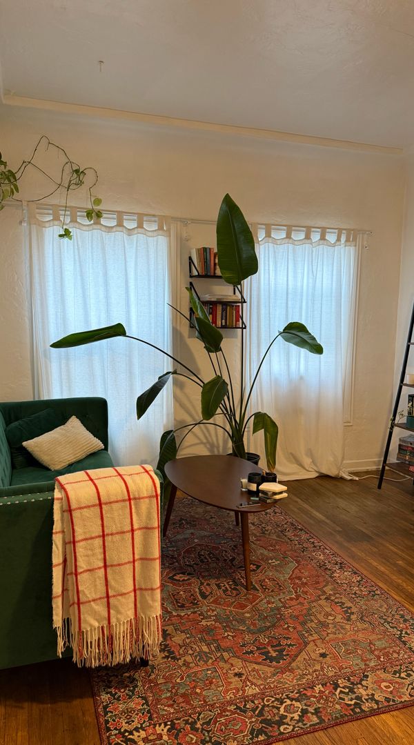 Sunny and charming Fairfax home