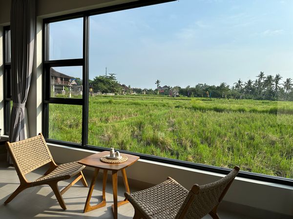 Brand new spacious 3 bedroom villa, with rice field views, 10 minutes from Ubud center.
