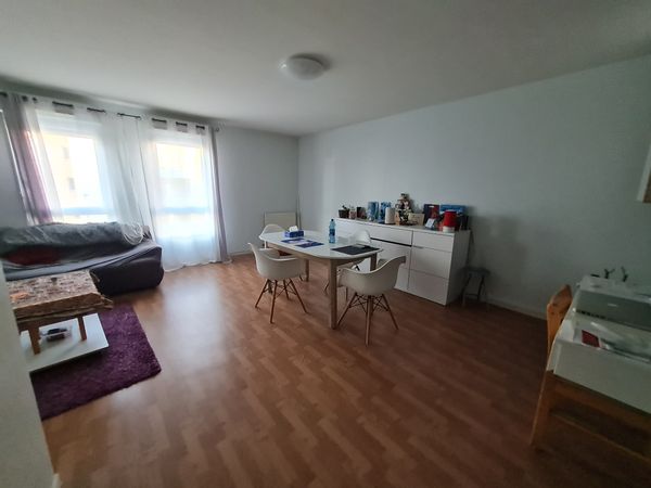 Appartement 3 chambres avec grand salon cuisine séparée. A côté du jardin des plantes et à 5 min du centre ville d'Angers connu pour son château une ville animée qui ravira petits et grands