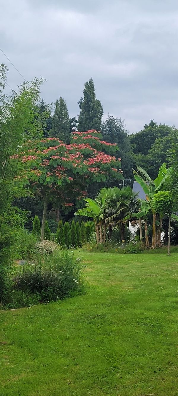La maison de Yvonnick