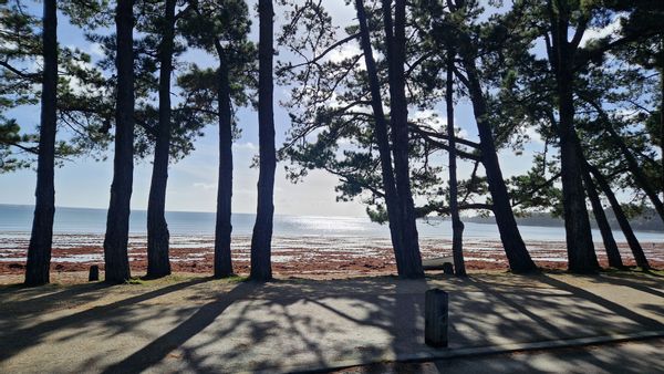 Cap Coz 50m from the beach, swimming pool and garden