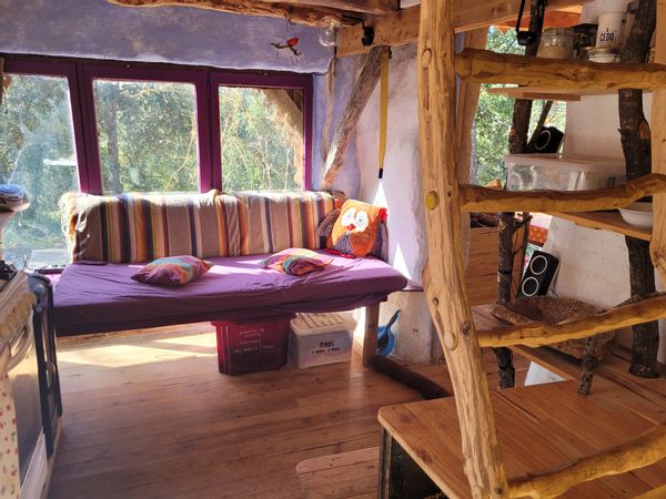 La Cabane sauvage dans les bois