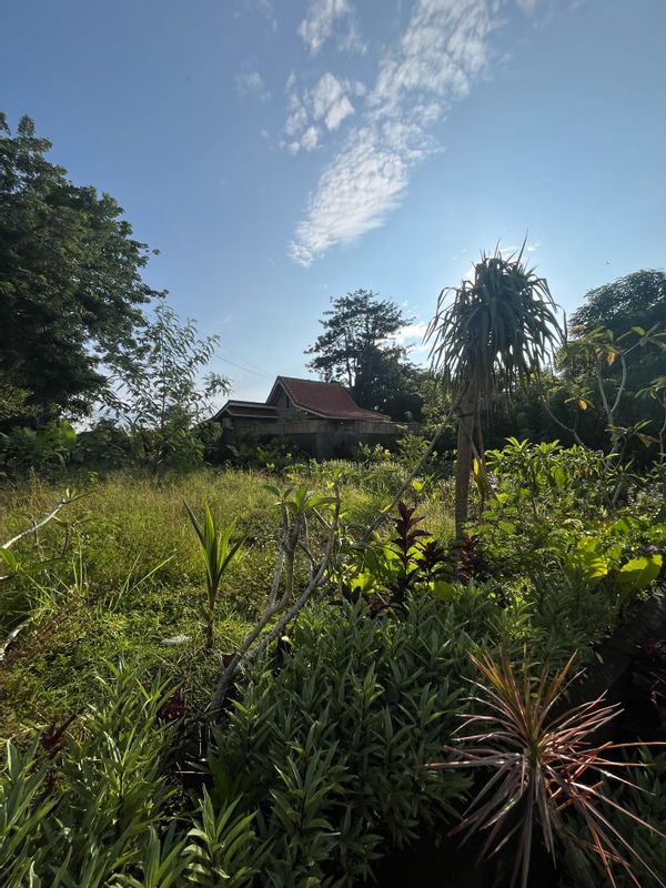 Fairy House in Uluwatu Bali