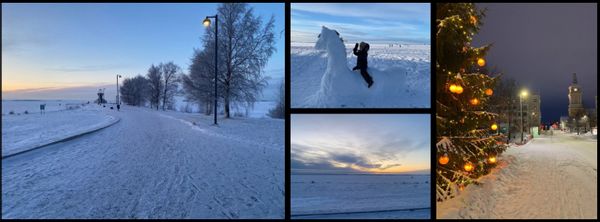 Aurores boréales, activités hivernales et mer gelée près de la Laponie !